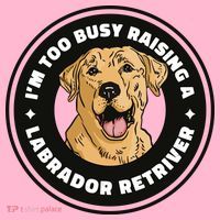I'm Too Busy Raising A Labrador Retriever Coaster thumb 2