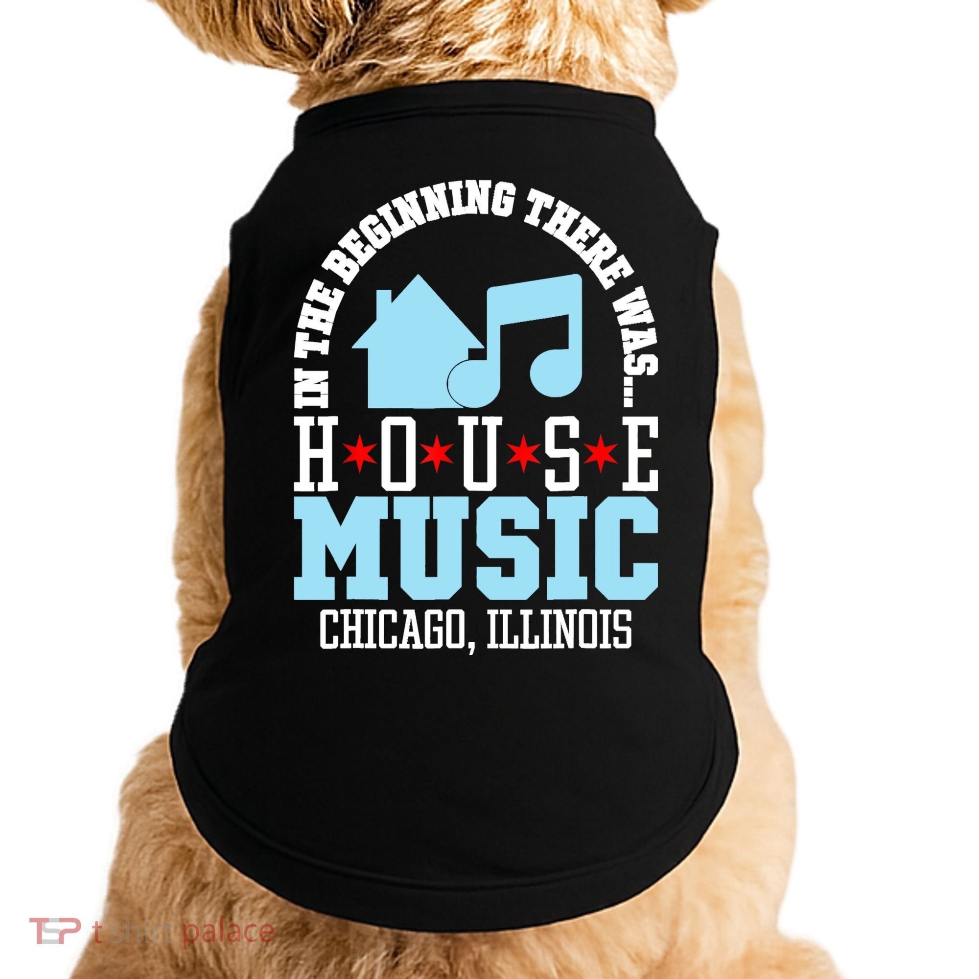In The Beginning There Was House Chicago House Music DJ Doggie Tank