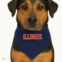 Illinois Throwback Classic Team Sports Varsity USA-Made Doggie Bandana thumb 1