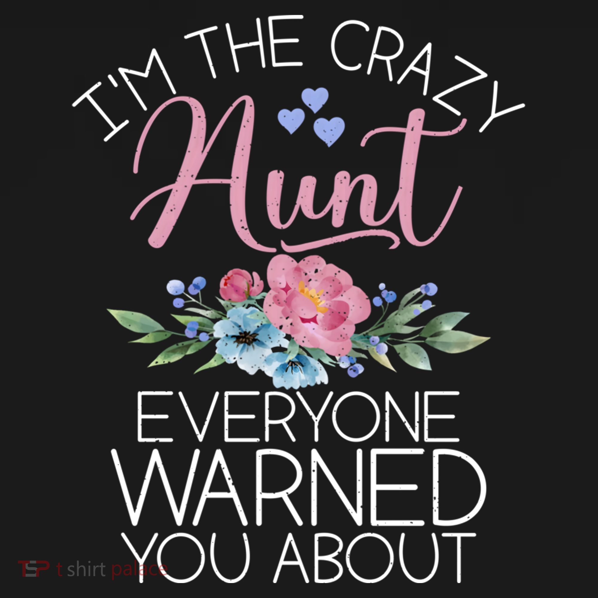 I'm The Crazy Aunt Everyone Warned You About Funny Aunt Gift Women's Hoodie