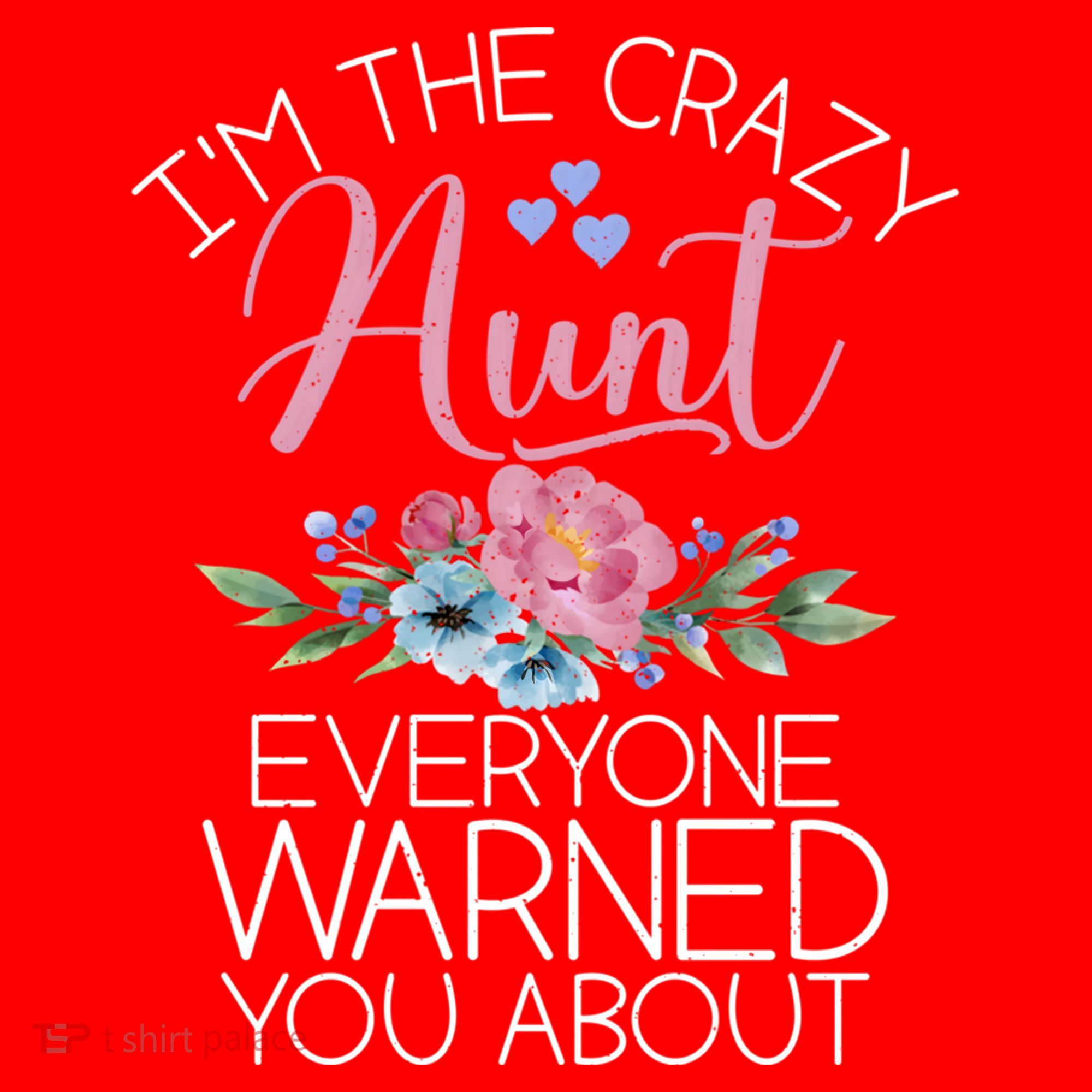 I'm The Crazy Aunt Everyone Warned You About Funny Aunt Gift Santa Hat