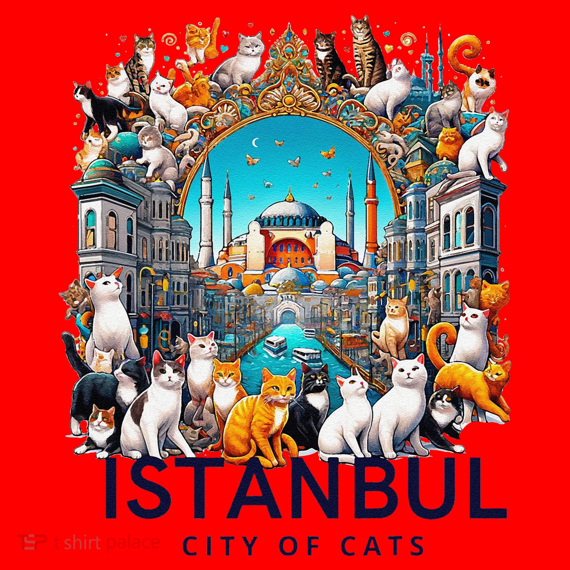 Istanbul Turkey City Of Cats Santa Hat