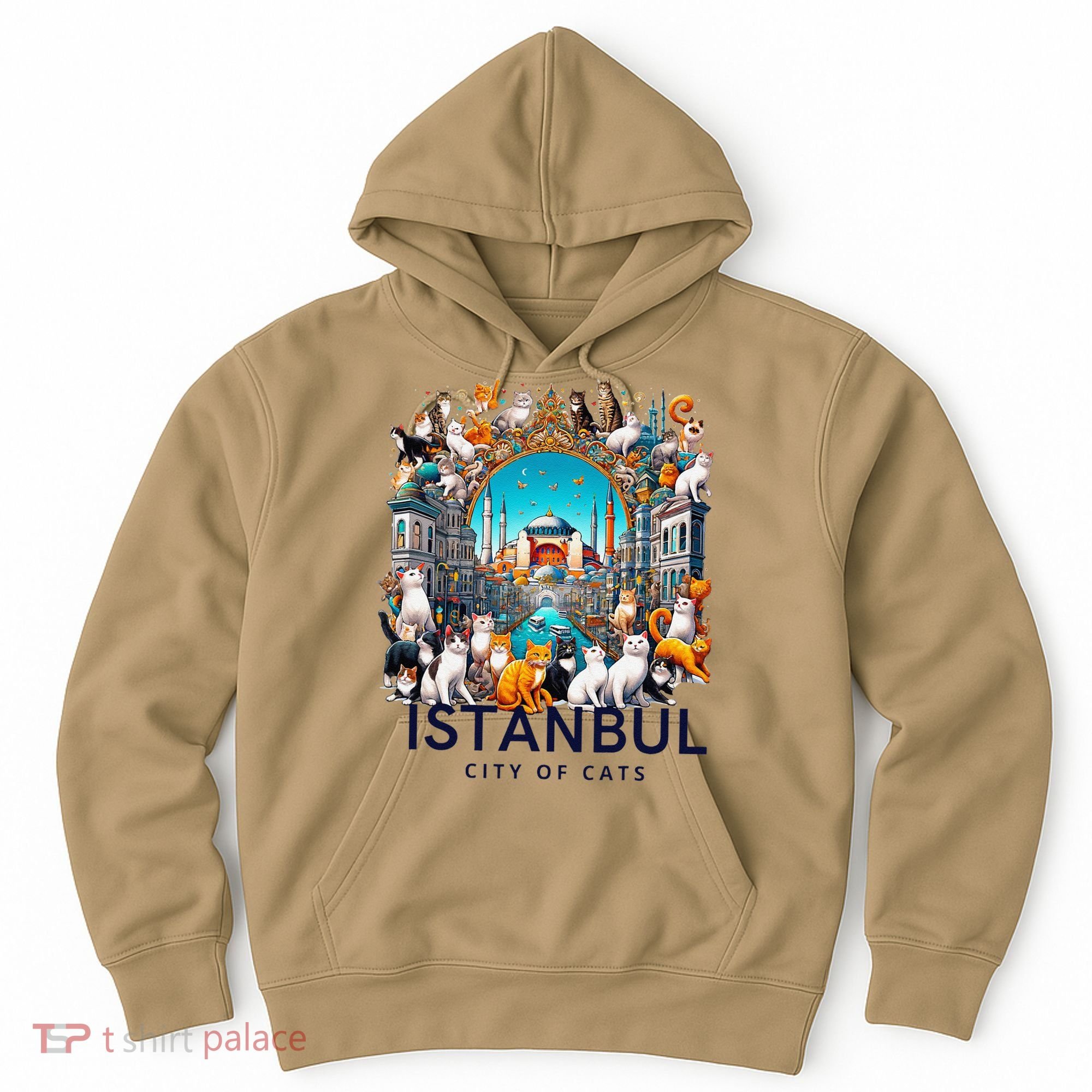 Istanbul Turkey City Of Cats Hoodie