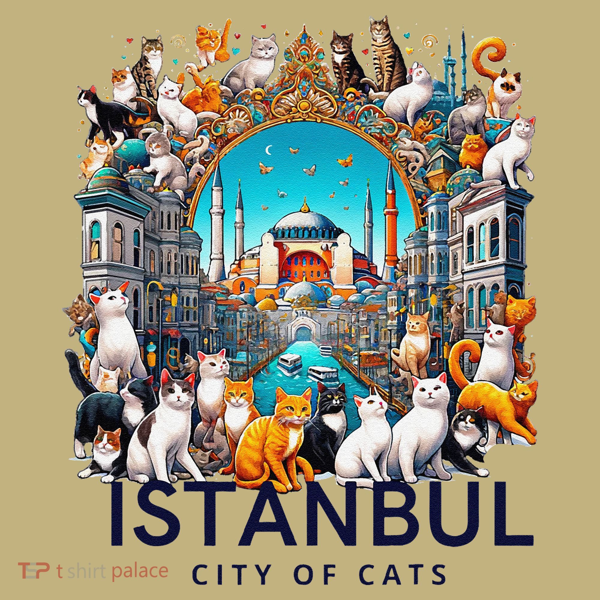 Istanbul Turkey City Of Cats Hoodie