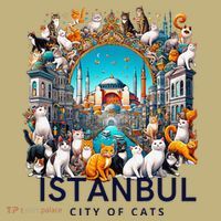 Istanbul Turkey City Of Cats Sweatshirt thumb 2