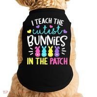 I Teach Cutest Bunnies In Patch Easter Teacher Cute Doggie Tank thumb 0