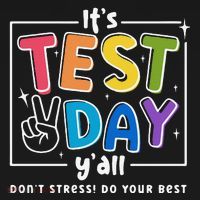 It's Test Day Y'all Don't Stress Do Your Best Testing Day Teacher Stude Toddler Hoodie thumb 2