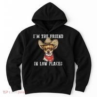 I'm The Friend In Low Places Hoodie thumb 0