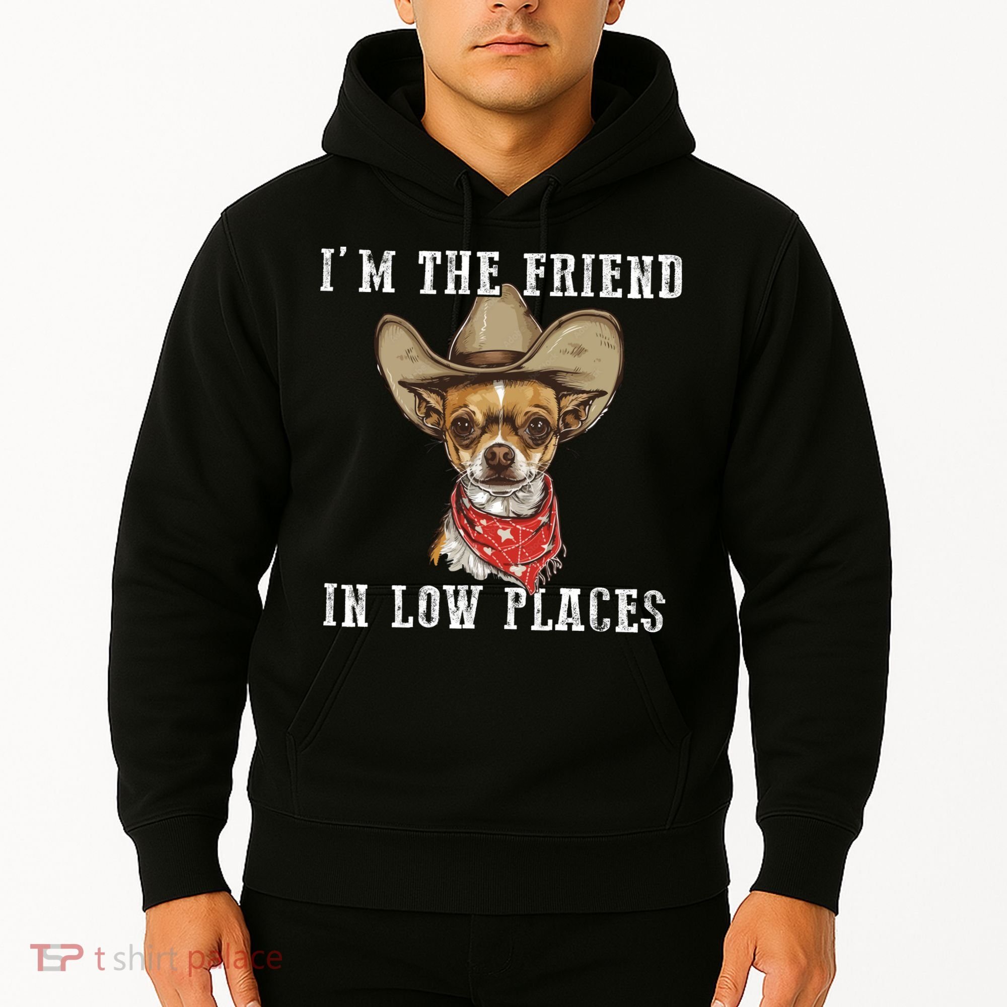 I'm The Friend In Low Places Hoodie