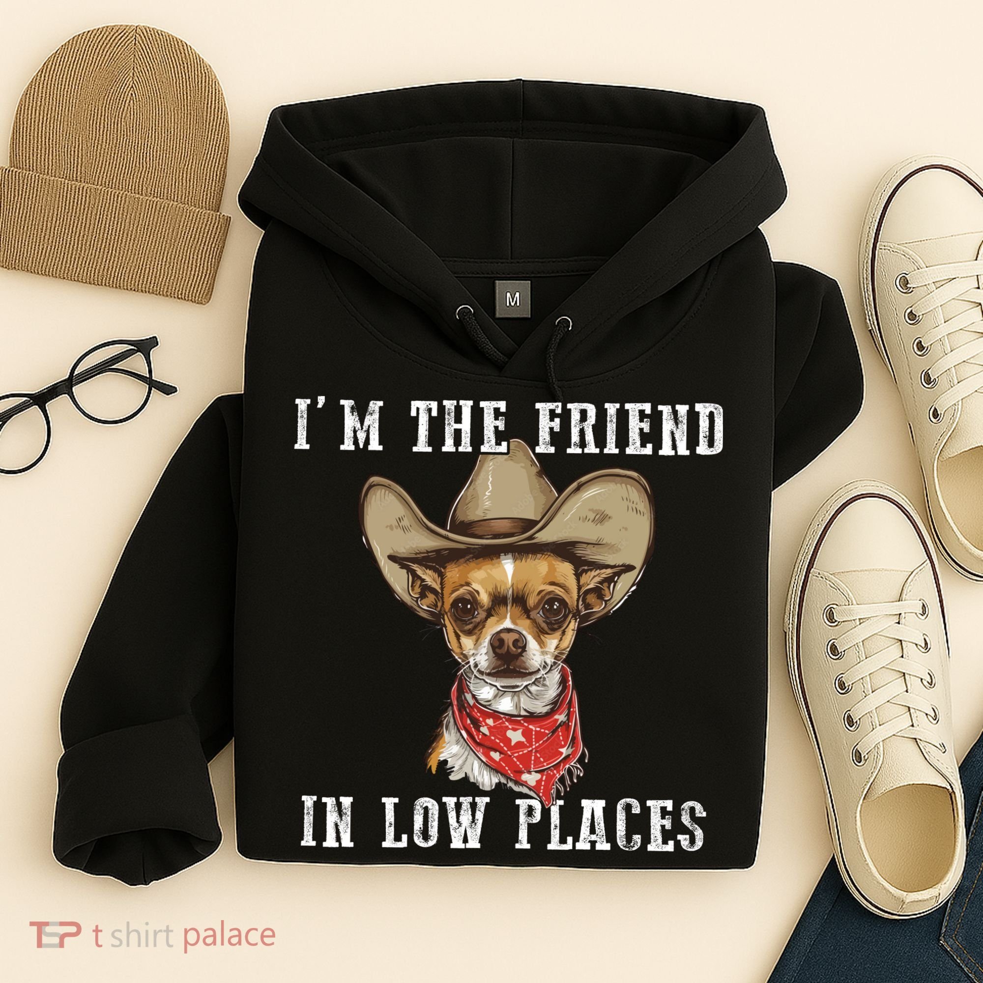 I'm The Friend In Low Places Hoodie