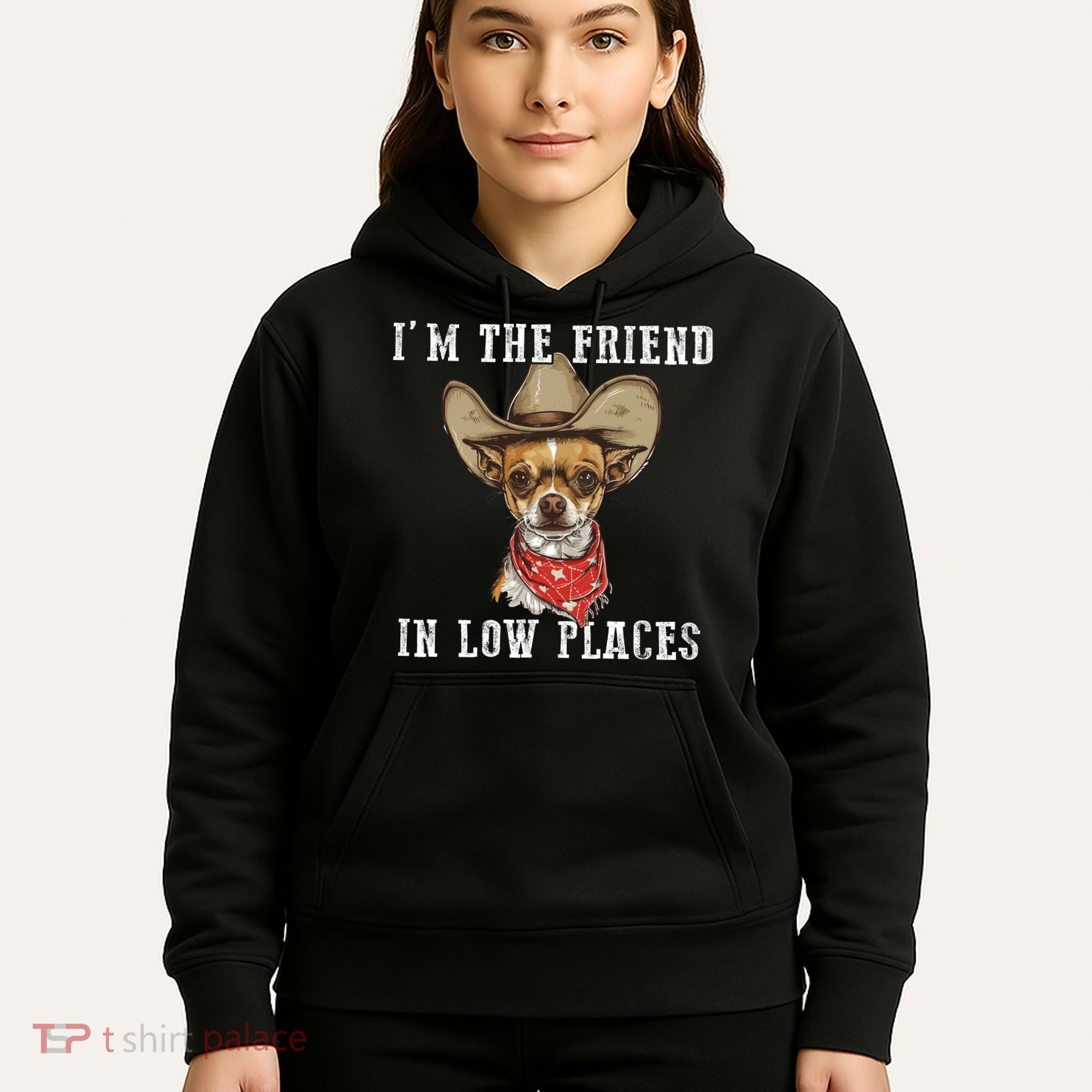 I'm The Friend In Low Places Hoodie