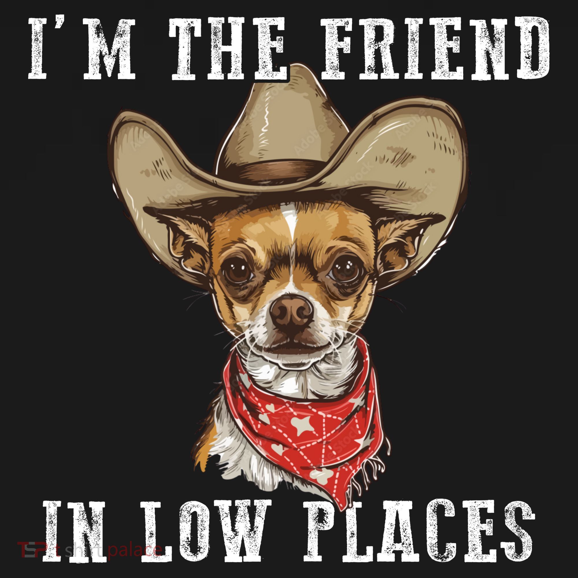 I'm The Friend In Low Places Long Sleeve Shirt