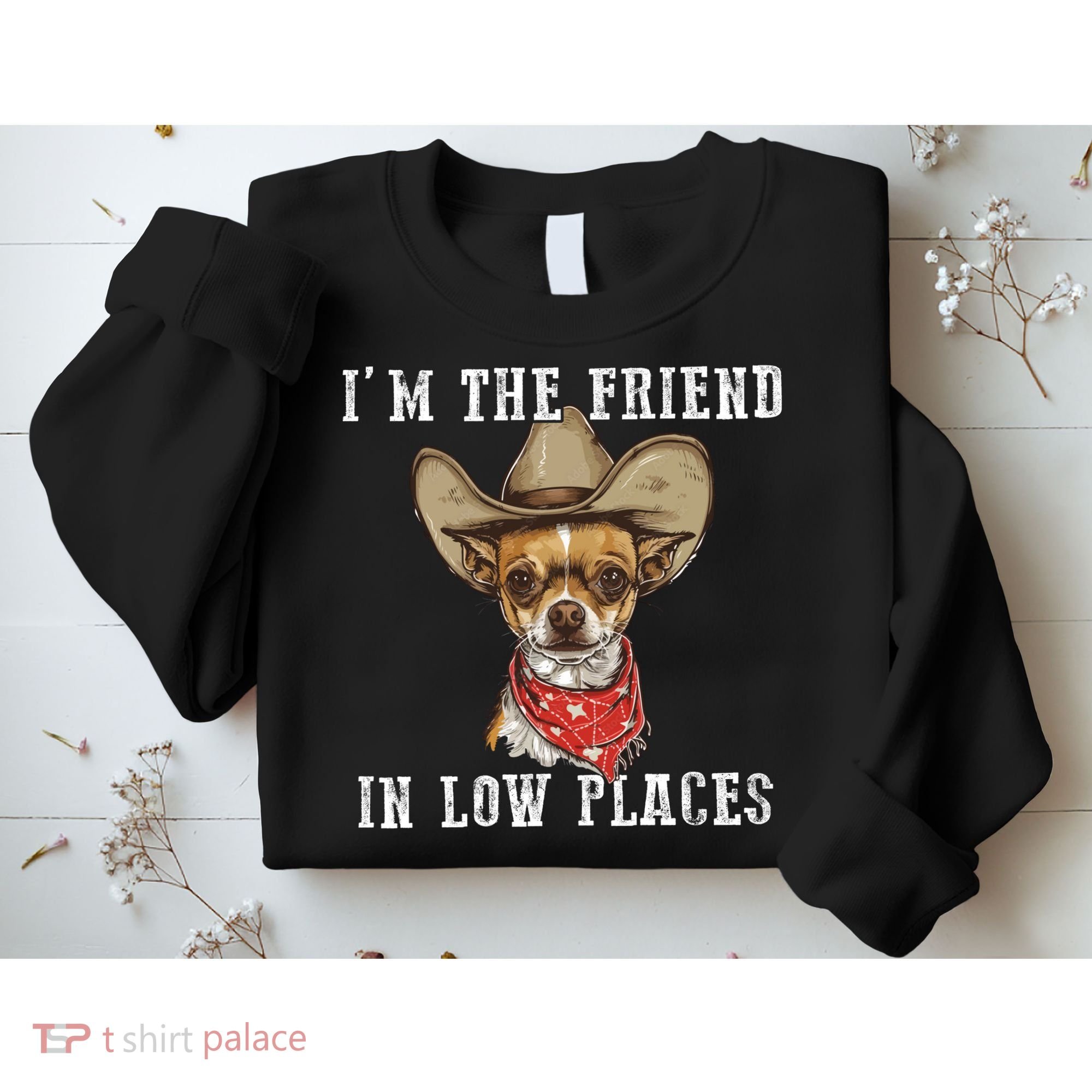 I'm The Friend In Low Places Sweatshirt