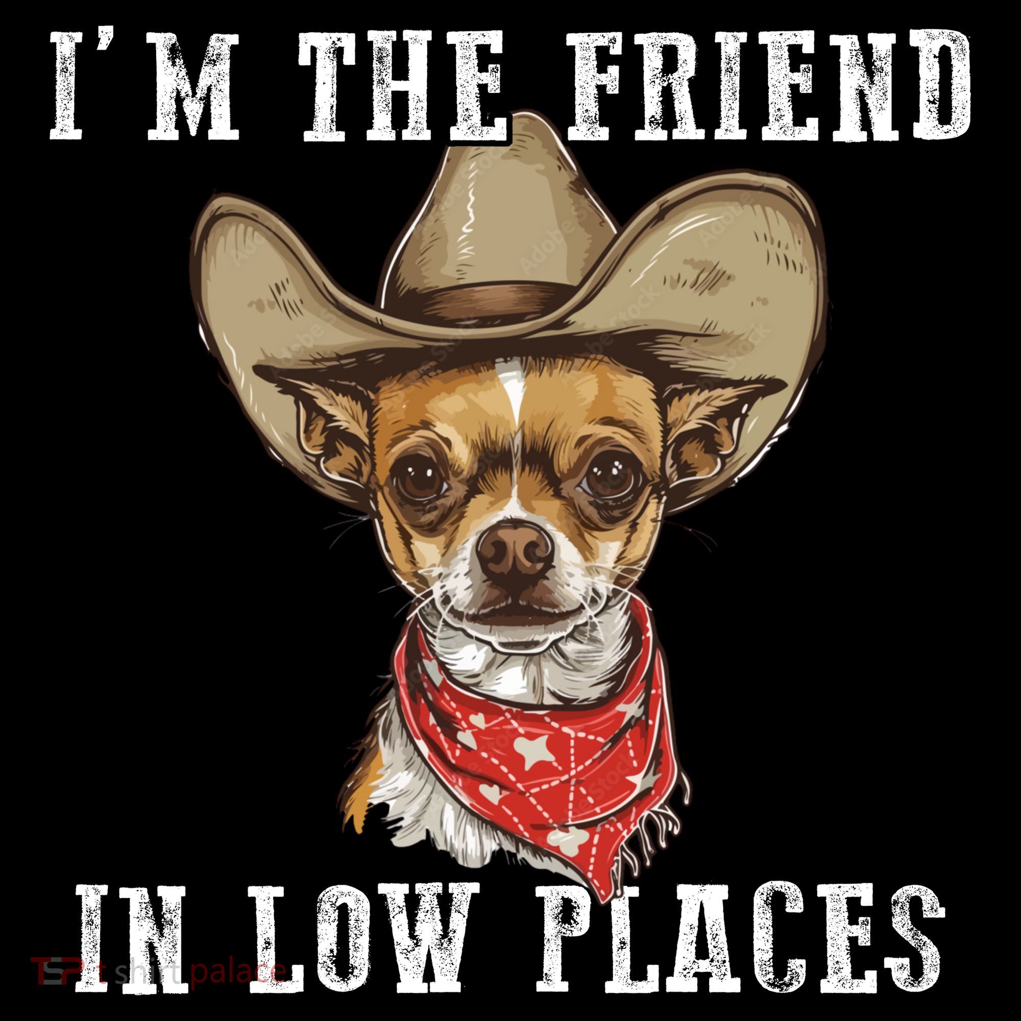 I'm The Friend In Low Places Women's Hoodie