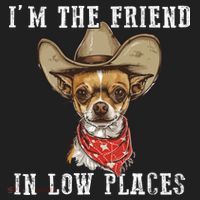 I'm The Friend In Low Places Hat thumb 2
