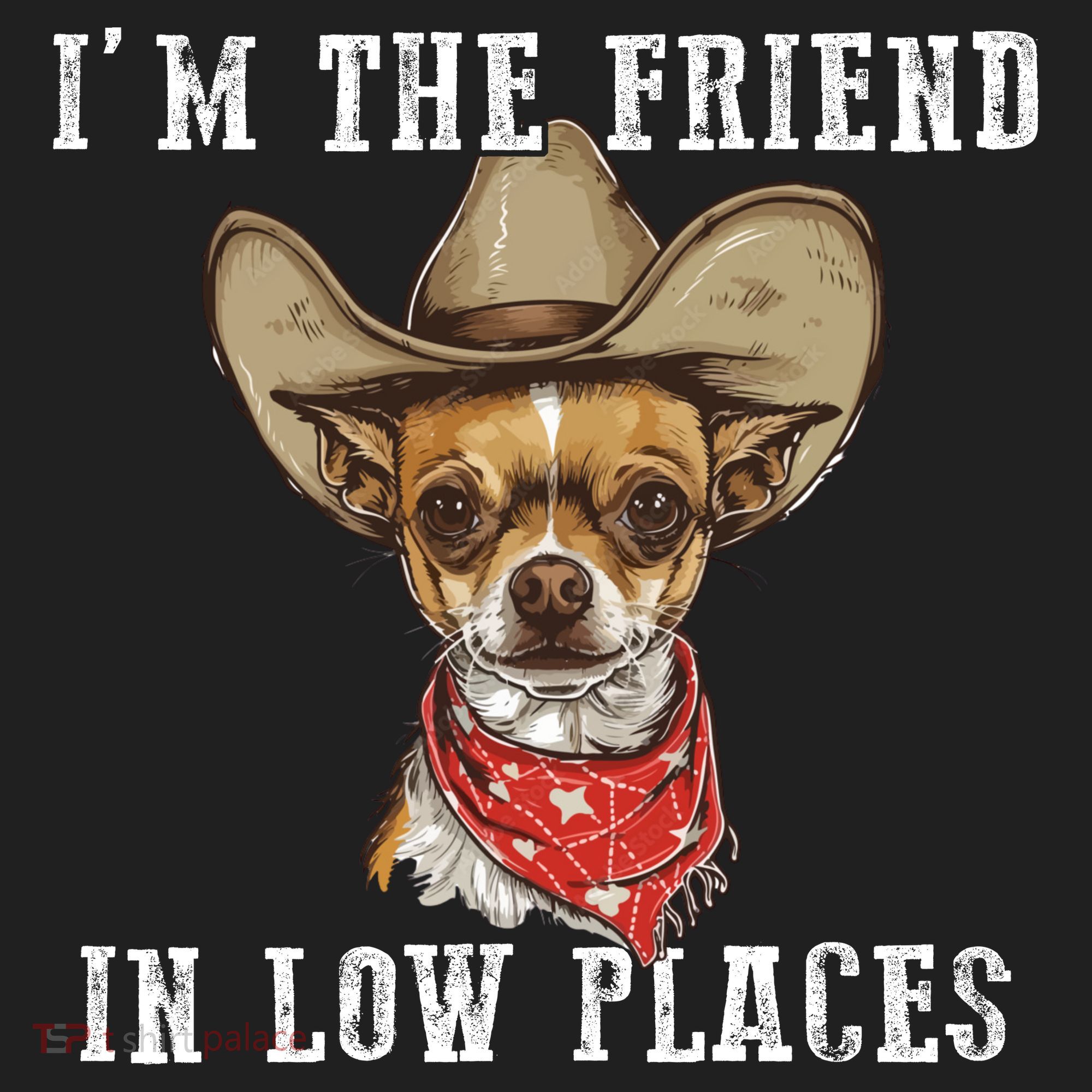 I'm The Friend In Low Places Hat