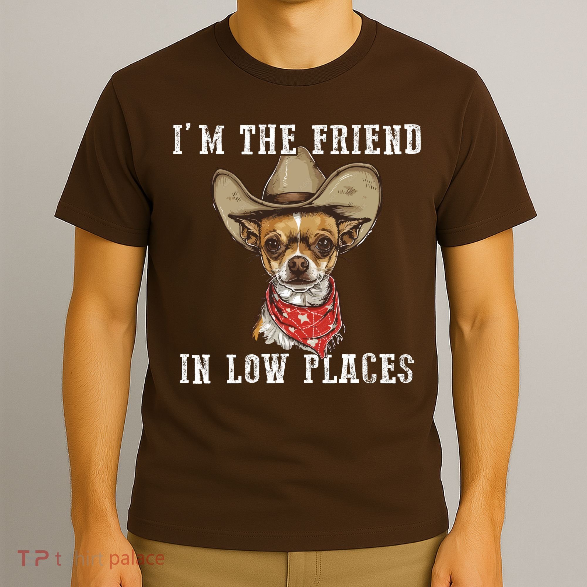 I'm The Friend In Low Places T-Shirt