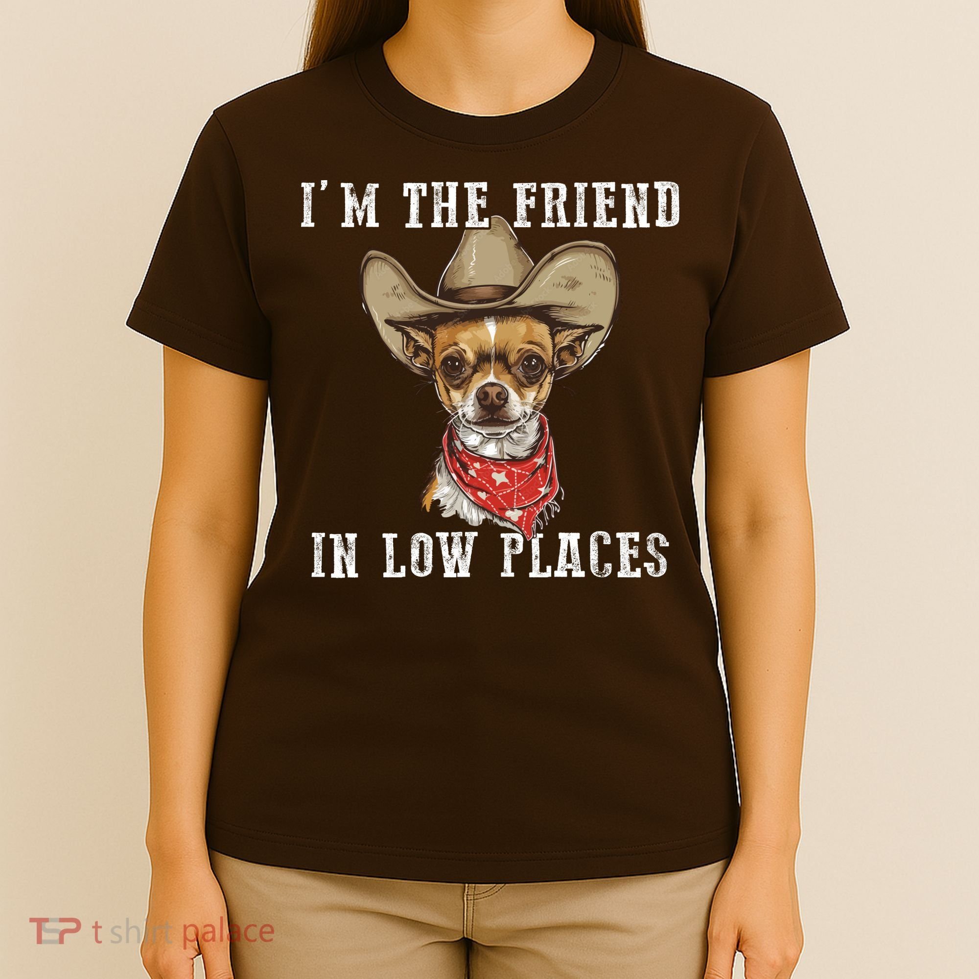 I'm The Friend In Low Places T-Shirt