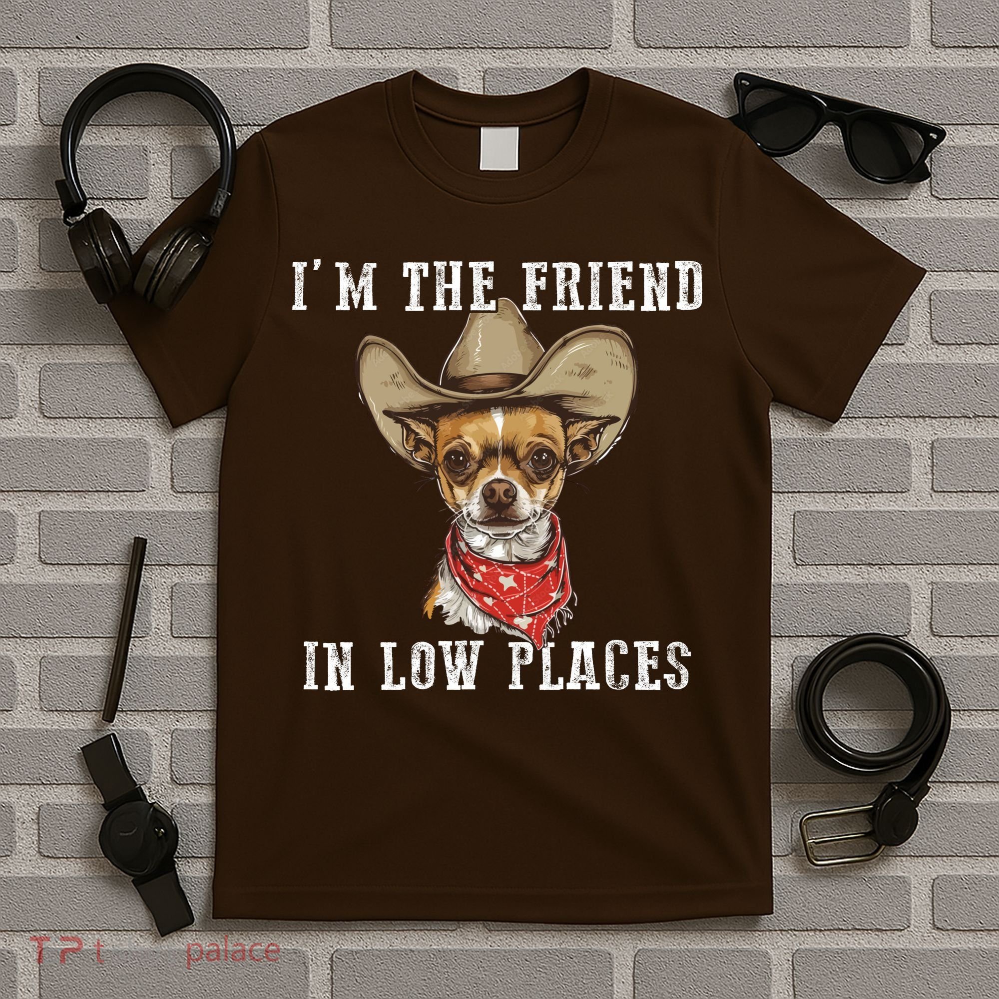 I'm The Friend In Low Places T-Shirt