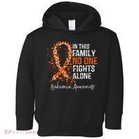 In This Family No One Fights Alone Leukemia Awareness Toddler Hoodie thumb 0