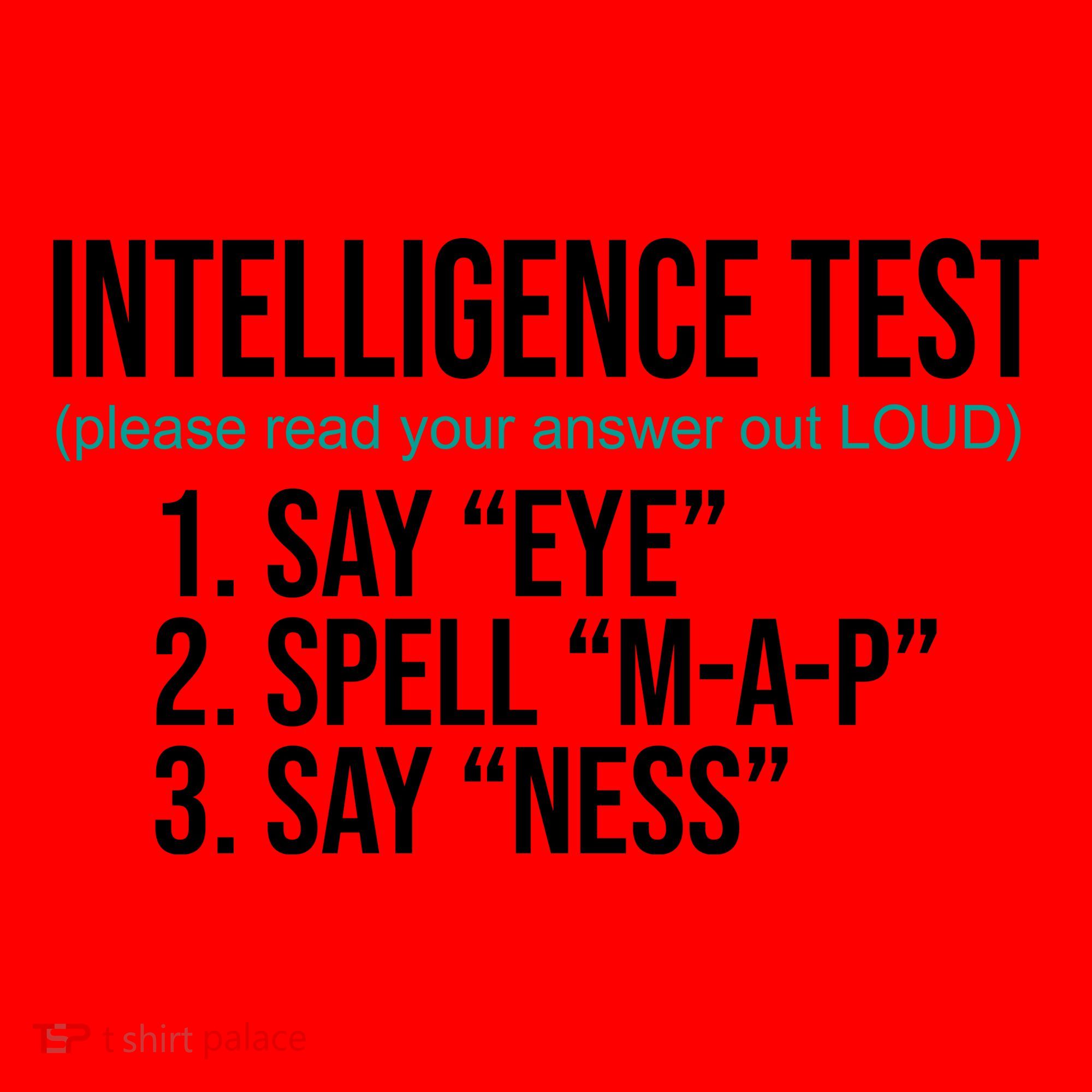 Intelligence Test Funny Message Santa Hat