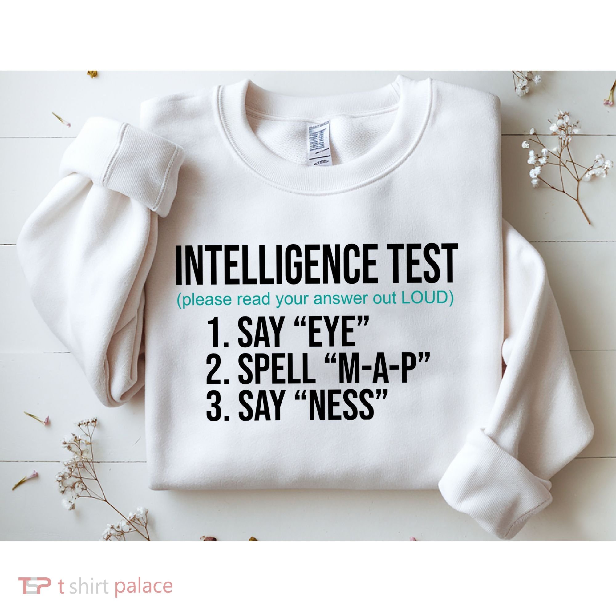 Intelligence Test Funny Message Sweatshirt