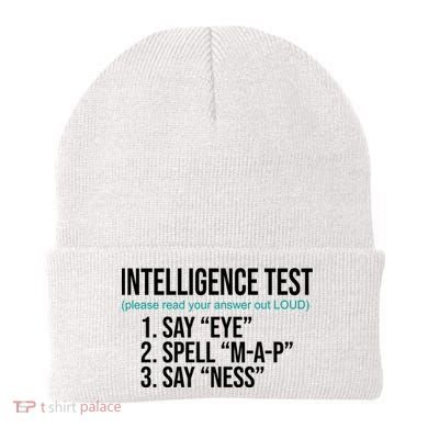Intelligence Test Funny Message Beanie