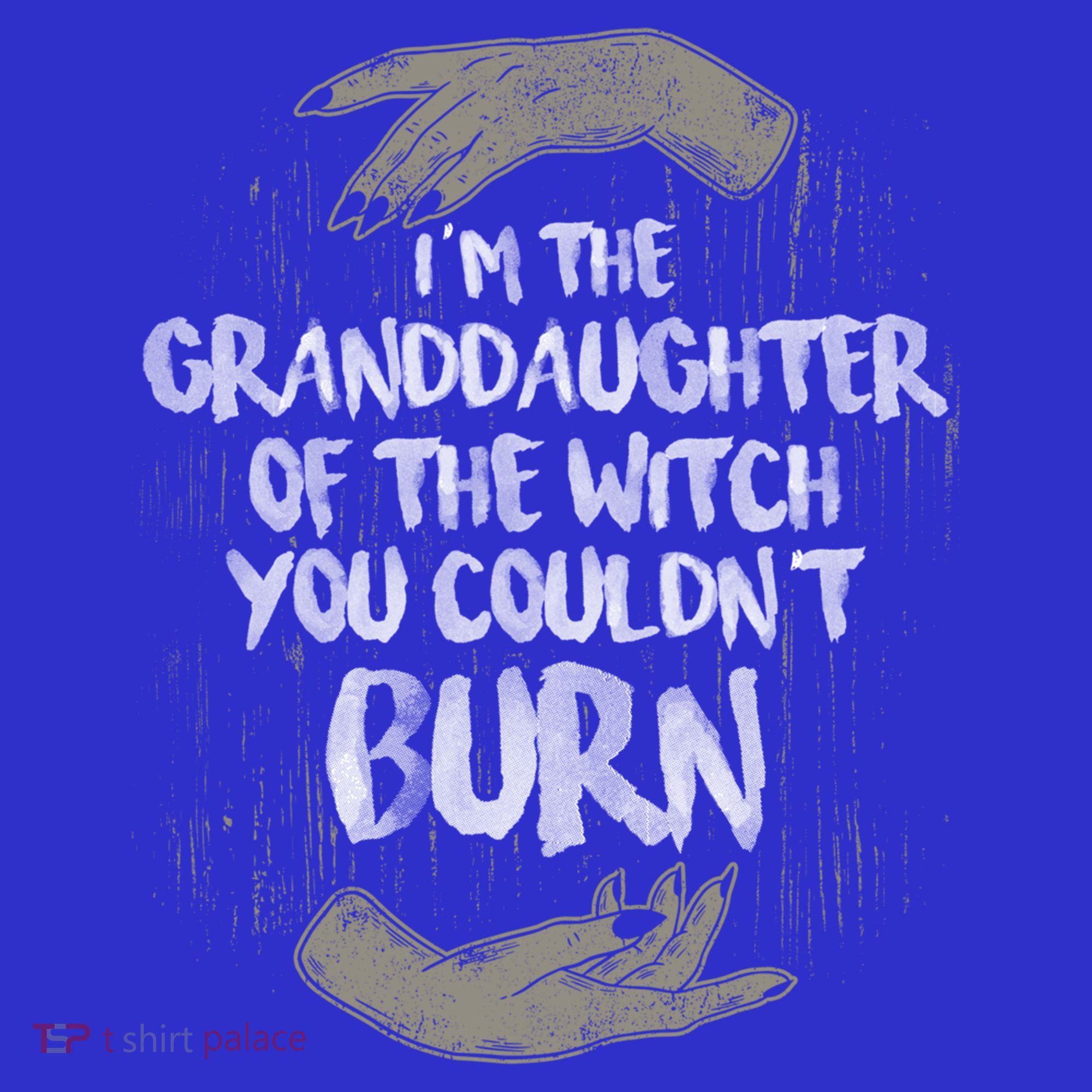 Im The Granddaughter Of The Witch You Couldnt Burn Cute Gift T-Shirt