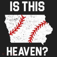 Is This Heaven Iowa Baseball Fan Tumbler thumb 3