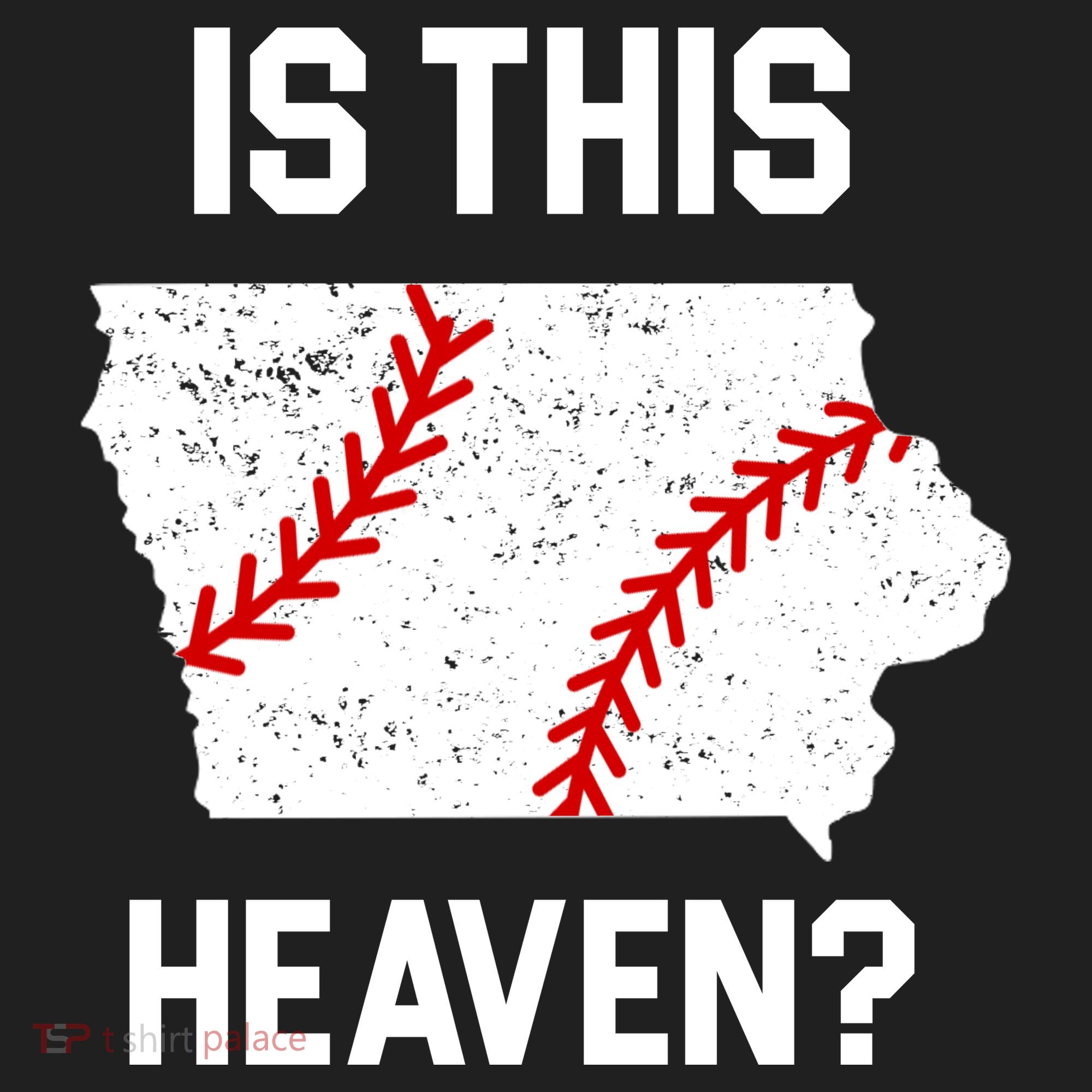 Is This Heaven Iowa Baseball Fan Tumbler