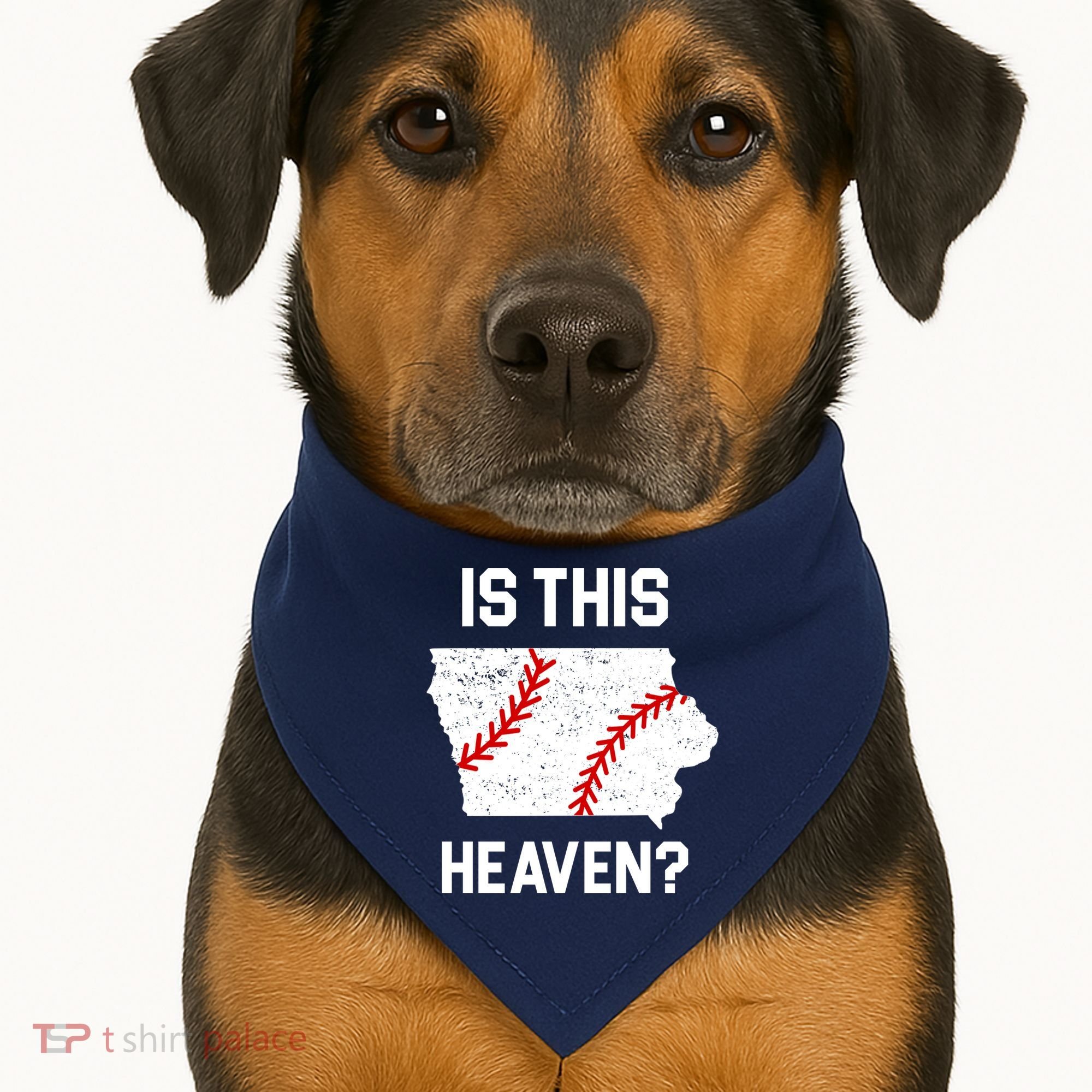 Is This Heaven Iowa Baseball Fan USA-Made Doggie Bandana