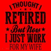 I Thought I Retired But Now I Just Work For My Wife Funny Gift Santa Hat thumb 1