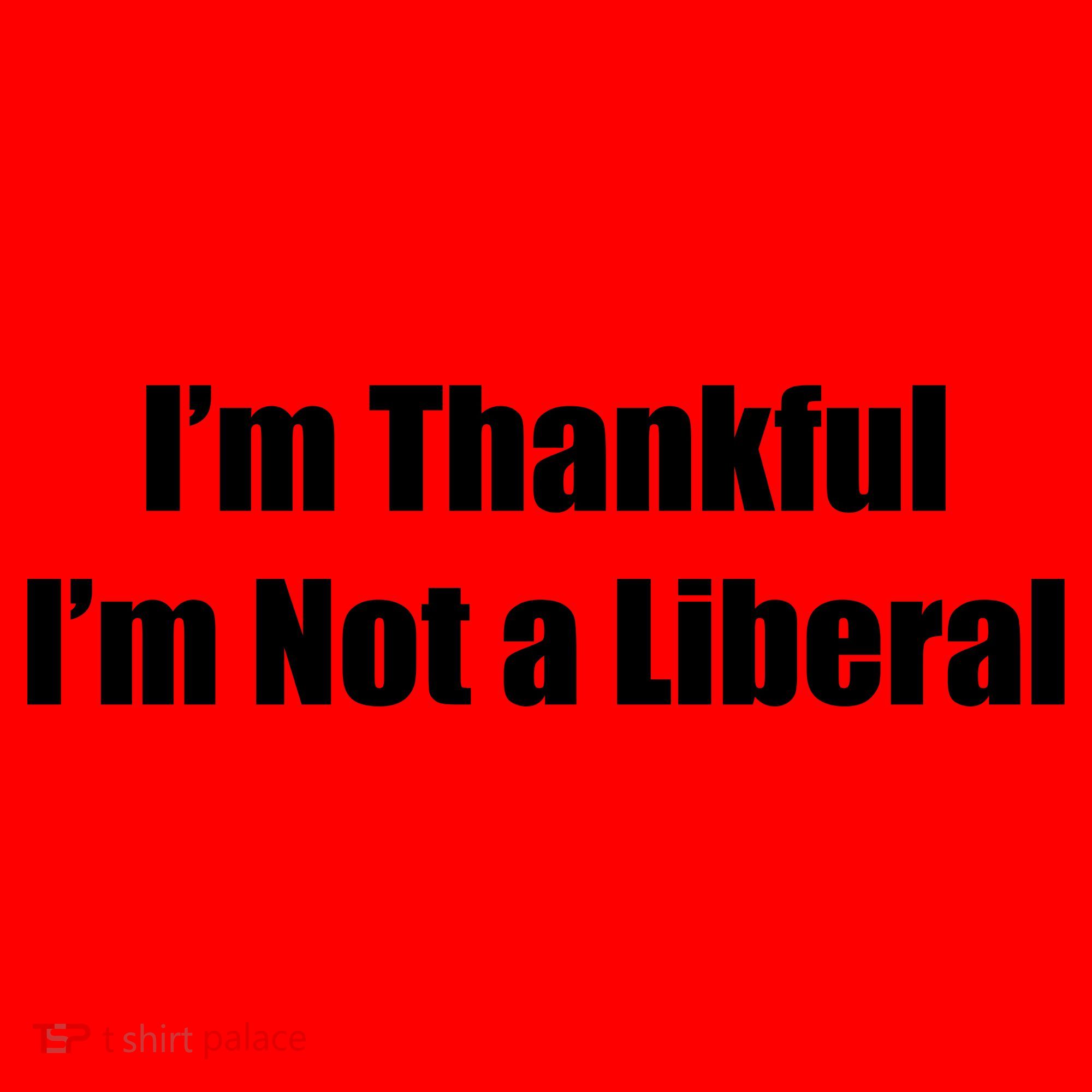 I’m Thankful I’m Not A Liberal Funny Santa Hat