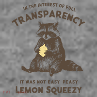 In The Interest Of Full Transparency It Was Not Easy Peasy Lemon Squeezy Raccoon Toddler Hoodie thumb 2