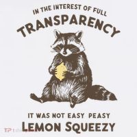 In The Interest Of Full Transparency It Was Not Easy Peasy Lemon Squeezy Raccoon Mousepad thumb 1