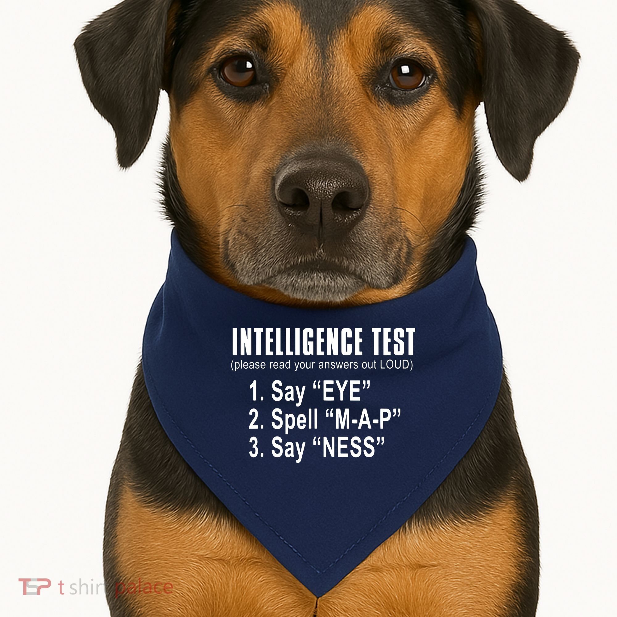 Intelligence Test USA-Made Doggie Bandana