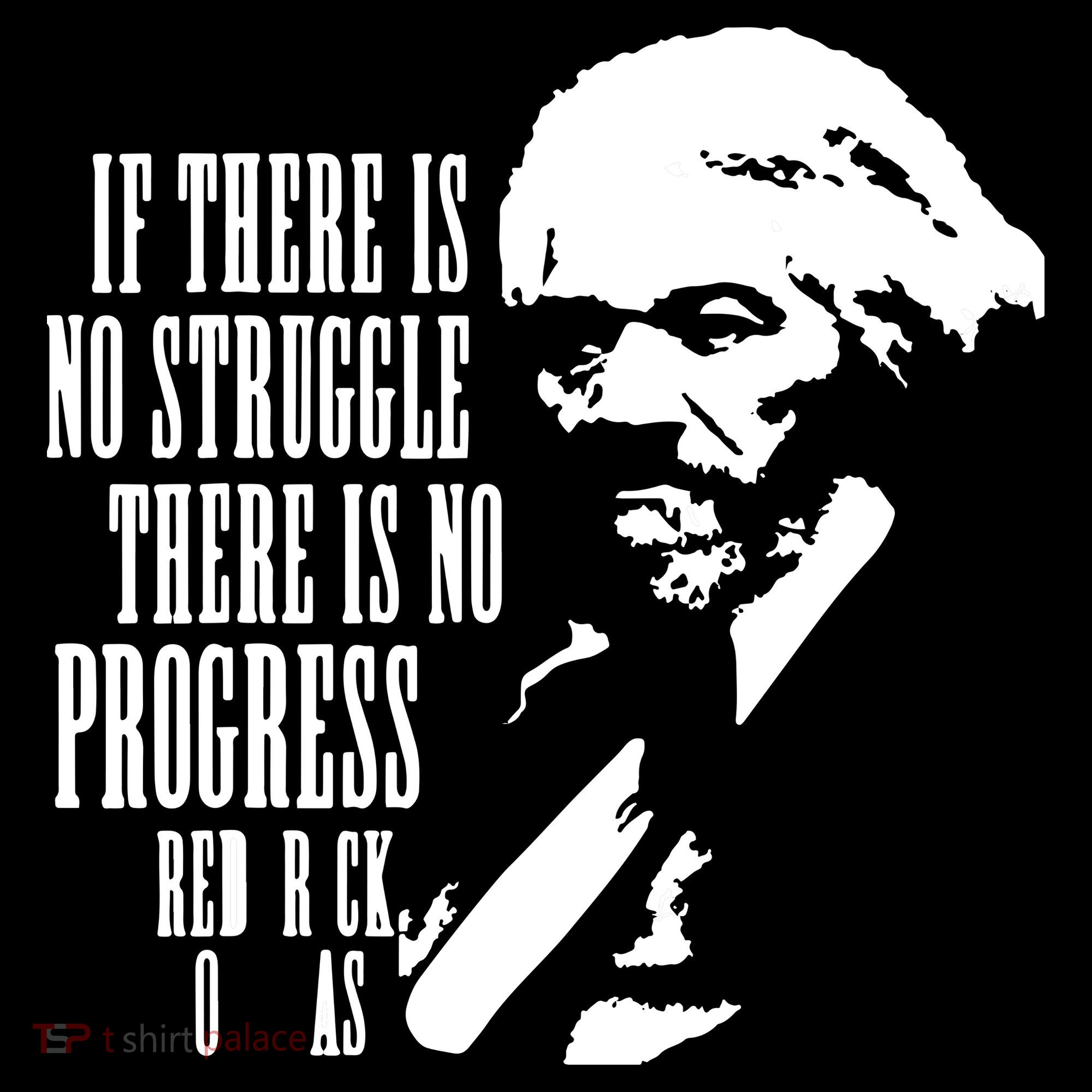 If There Is No Struggle There Is No Progress Ornament
