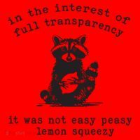 In The Insterest Of Full Transparency It Was Not Easy Peasy Lemon Squeezy Santa Hat thumb 1
