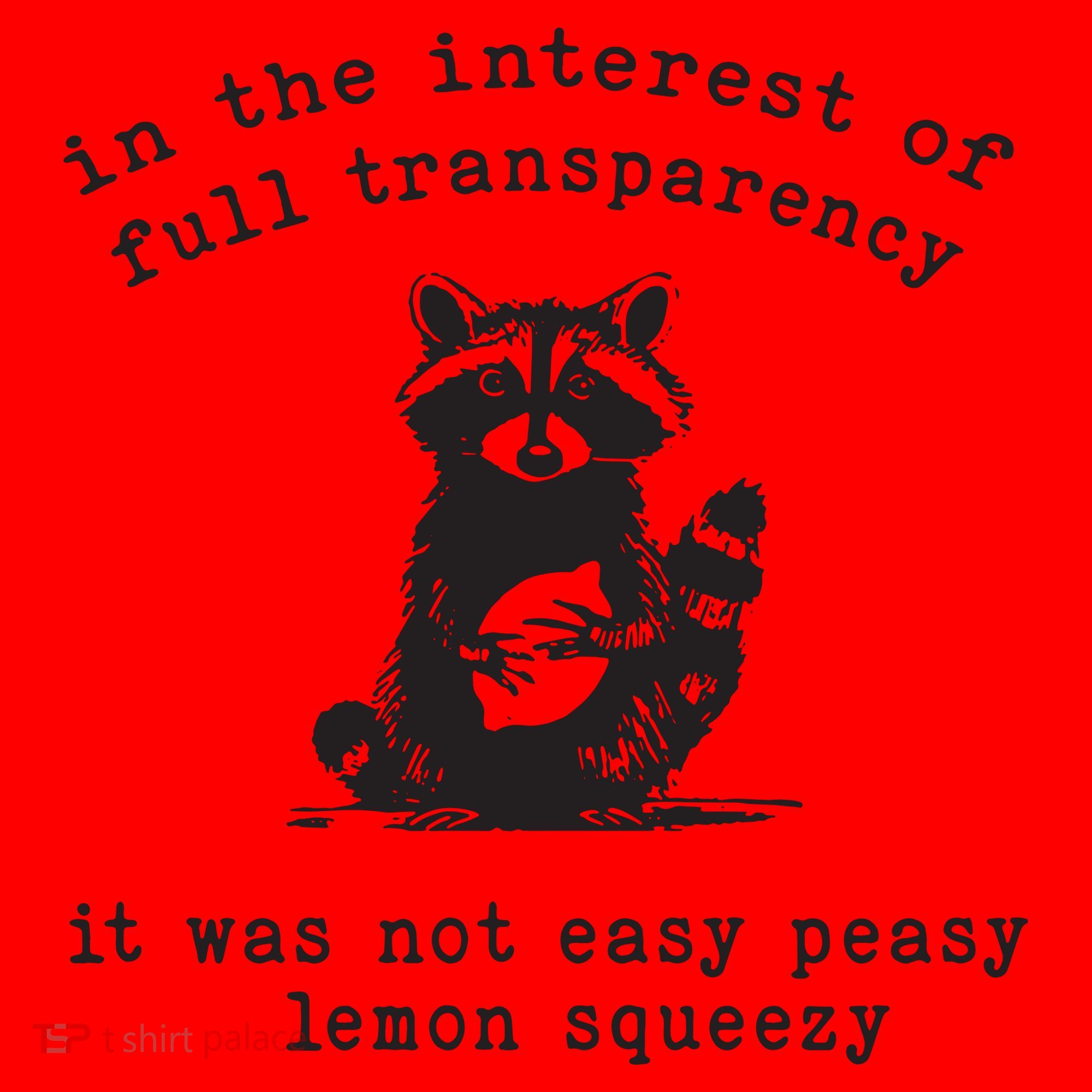 In The Insterest Of Full Transparency It Was Not Easy Peasy Lemon Squeezy Santa Hat
