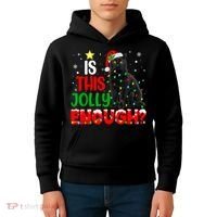 Is This Jolly Enough Funny Cat Xmas Tree Kids Hoodie thumb 4