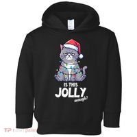 Is This Jolly Enough Christmas Cat Xmas Toddler Hoodie thumb 0