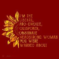 IM The Liberal Woman You Were Warned About Hoodie thumb 2