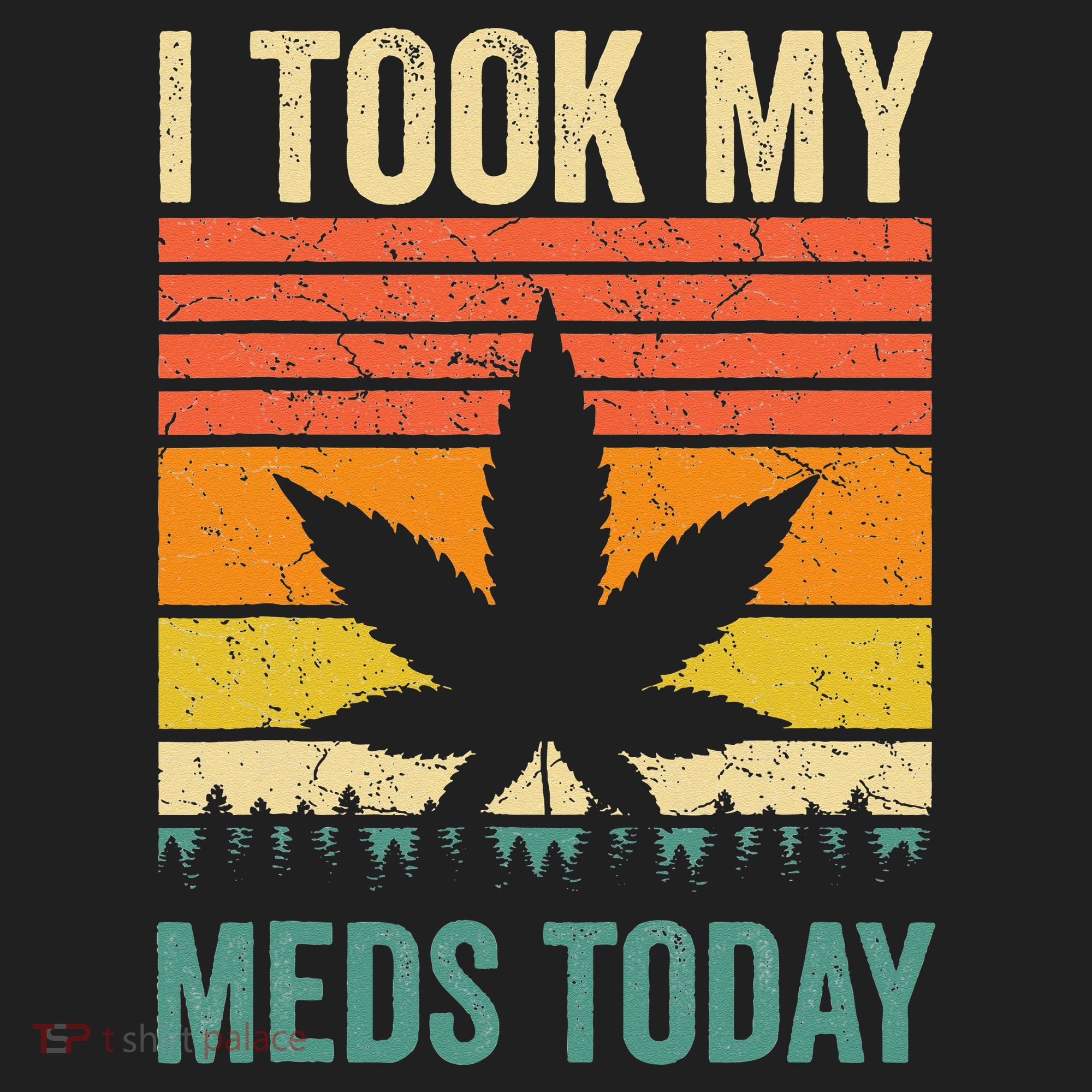 I Took My Meds Today Funny Medical Marijuana Cannabis Weed Hat