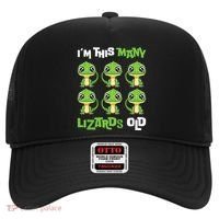 IM This Many Lizards Old Cute Lizard 6th Birthday 6 Years Hat thumb 0