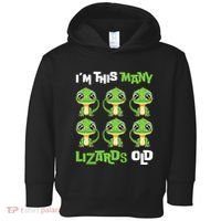 IM This Many Lizards Old Cute Lizard 6th Birthday 6 Years Toddler Hoodie thumb 0