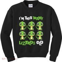 IM This Many Lizards Old Cute Lizard 6th Birthday 6 Years Kids Sweatshirt thumb 0