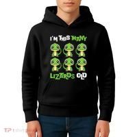 IM This Many Lizards Old Cute Lizard 6th Birthday 6 Years Kids Hoodie thumb 4