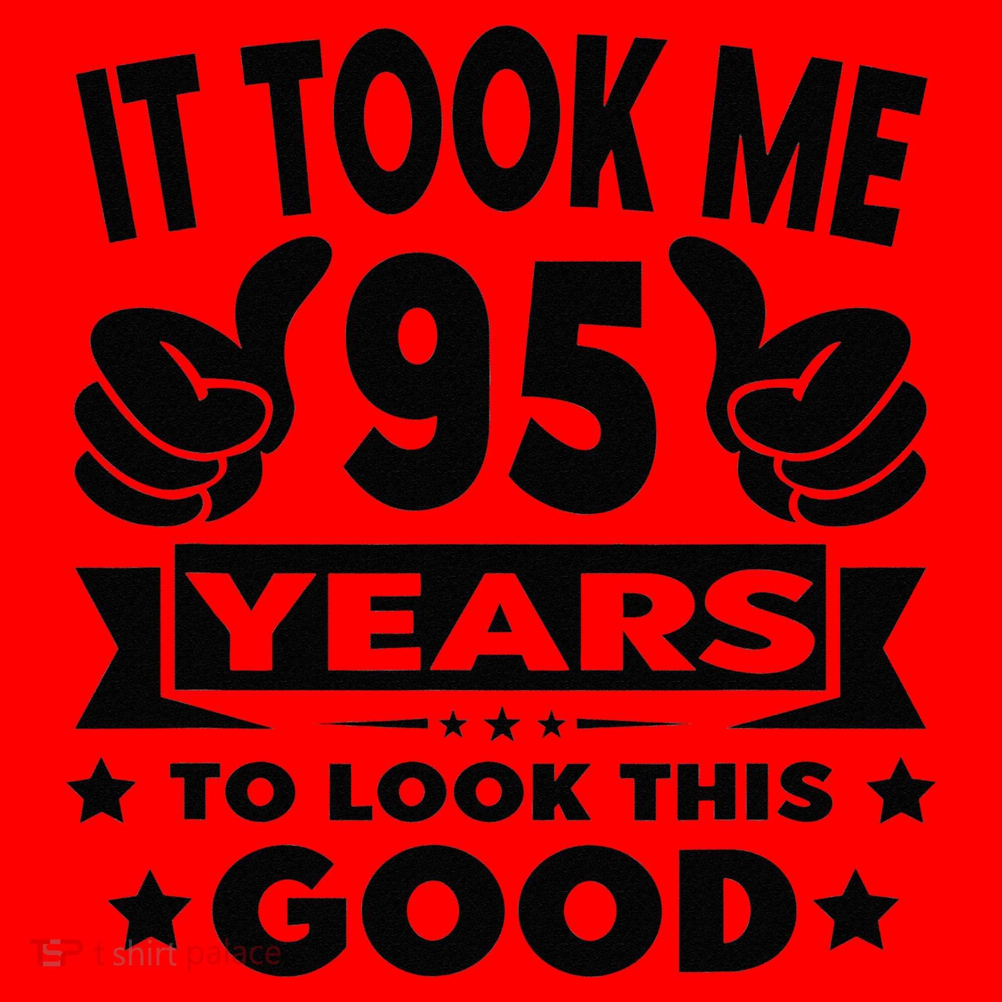 It Took Me 95 Years Funny 95th Birthday Decorations Party Santa Hat