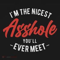 IM The Nicest Asshole YouLl Ever Meet Funny Quote Sweatshirt thumb 3