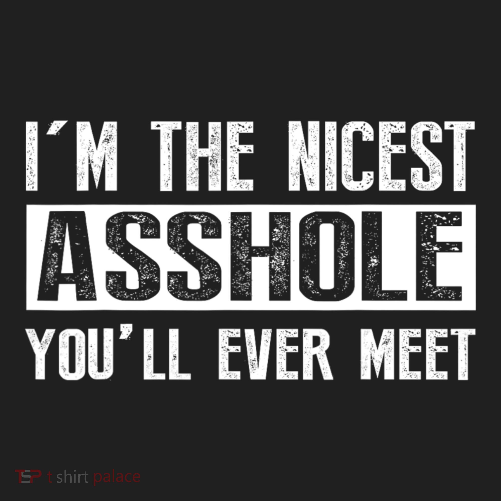 Im The Nicest Asshole Youll Ever Meet Funny Sarcasm Tumbler